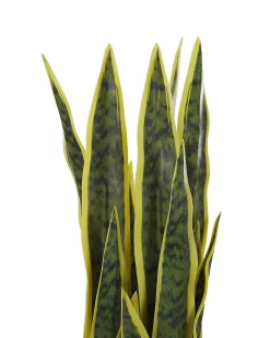 Clearance Beliani Pianta artificiale SNAKE PLANT Verde Verde Nero