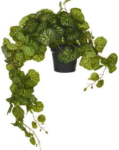 Hot Beliani Pianta artificiale sospesa in vaso STRAWBERRY BEGONIA 37 cm Verde Nero Verde