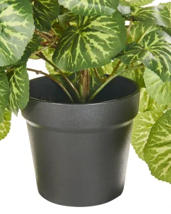 Hot Beliani Pianta artificiale sospesa in vaso STRAWBERRY BEGONIA 37 cm Verde Nero Verde