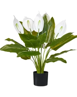 Outlet Beliani Pianta artificiale SPATHPHYLLUM 70 cm Verde Bianco Verde