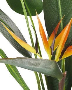 New Beliani Pianta artificiale STRELITZIA TREE 115 cm Verde Arancione Verde Nero