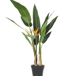 New Beliani Pianta artificiale STRELITZIA TREE 115 cm Verde Arancione Verde Nero