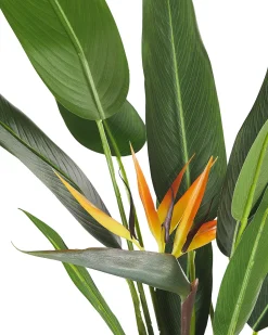 New Beliani Pianta artificiale STRELITZIA TREE 115 cm Verde Arancione Verde Nero