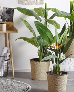 New Beliani Pianta artificiale STRELITZIA TREE 115 cm Verde Arancione Verde Nero