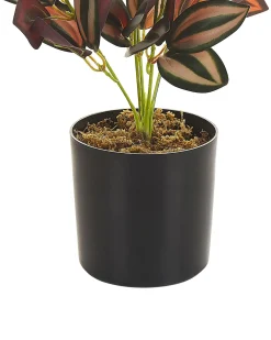 New Beliani Pianta artificiale TRADESCANTIA 35 cm Rosso Verde Nero Rosso