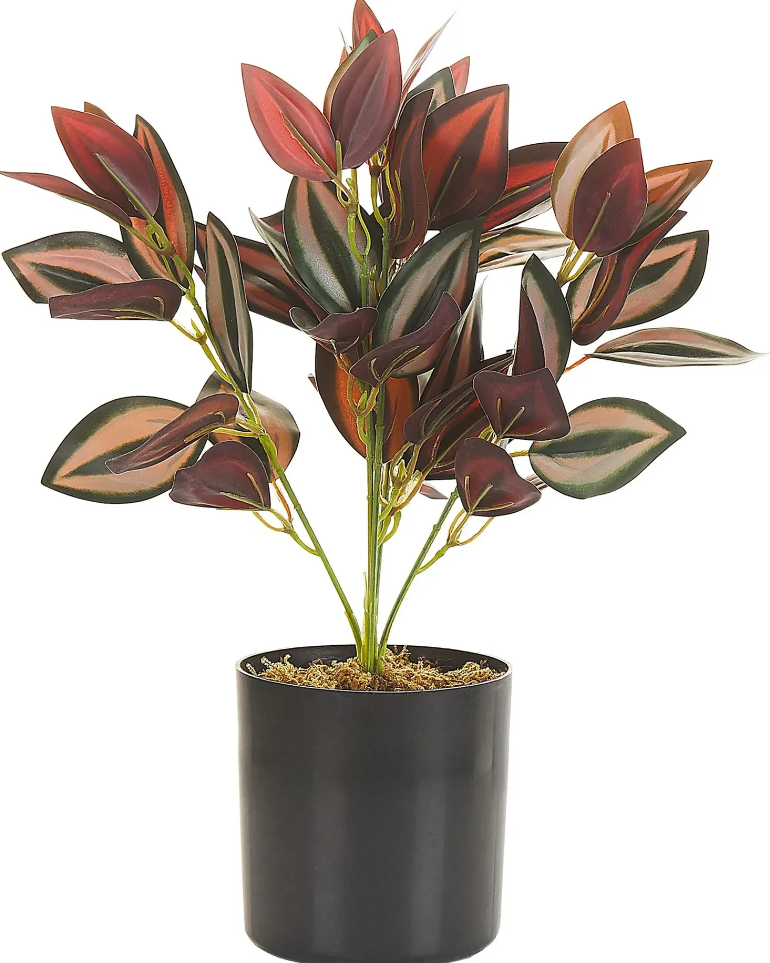 New Beliani Pianta artificiale TRADESCANTIA 35 cm Rosso Verde Nero Rosso