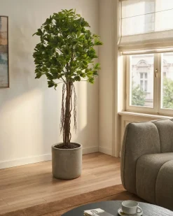 Beliani Pianta artificiale UMBRELLA TREE 175 cm Verde