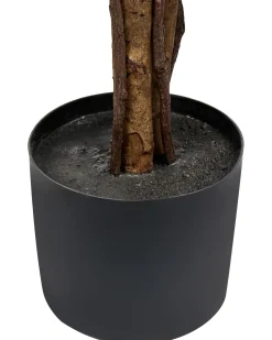 Beliani Pianta artificiale UMBRELLA TREE 175 cm Verde
