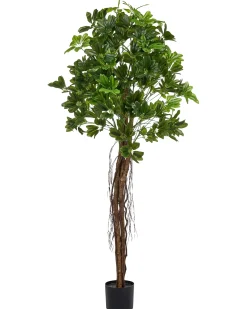 Beliani Pianta artificiale UMBRELLA TREE 175 cm Verde