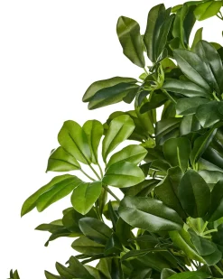 Beliani Pianta artificiale UMBRELLA TREE 175 cm Verde