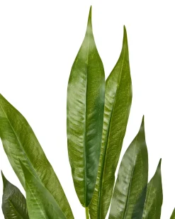 Discount Beliani Pianta artificiale WILLOW TREE 180 cm Marrone Verde