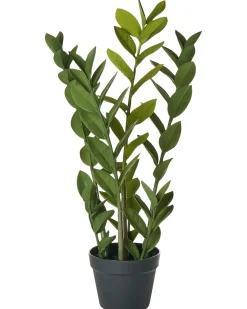 Beliani Pianta artificiale ZAMIIFOLIA 76 cm Verde Verde Nero