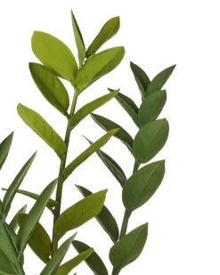 Beliani Pianta artificiale ZAMIIFOLIA 76 cm Verde Verde Nero