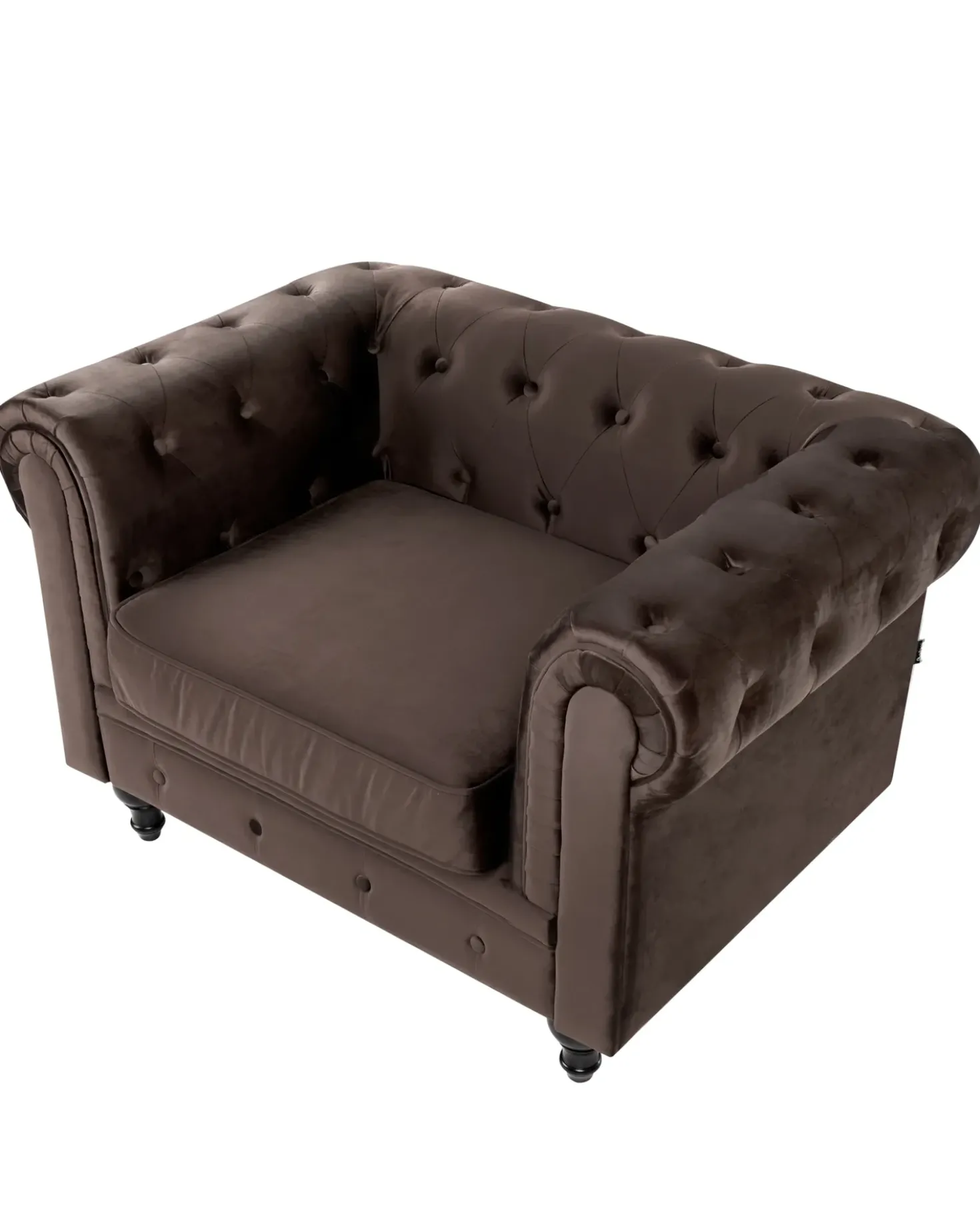 Poltrona CHESTERFIELD Velluto Marrone scuro