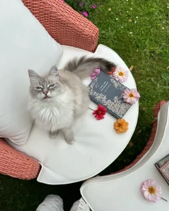 Best Beliani Poltrona da giardino con ottomana ARCILLE Rattan sintetico (PE) Rosa pesca Bianco Rosa
