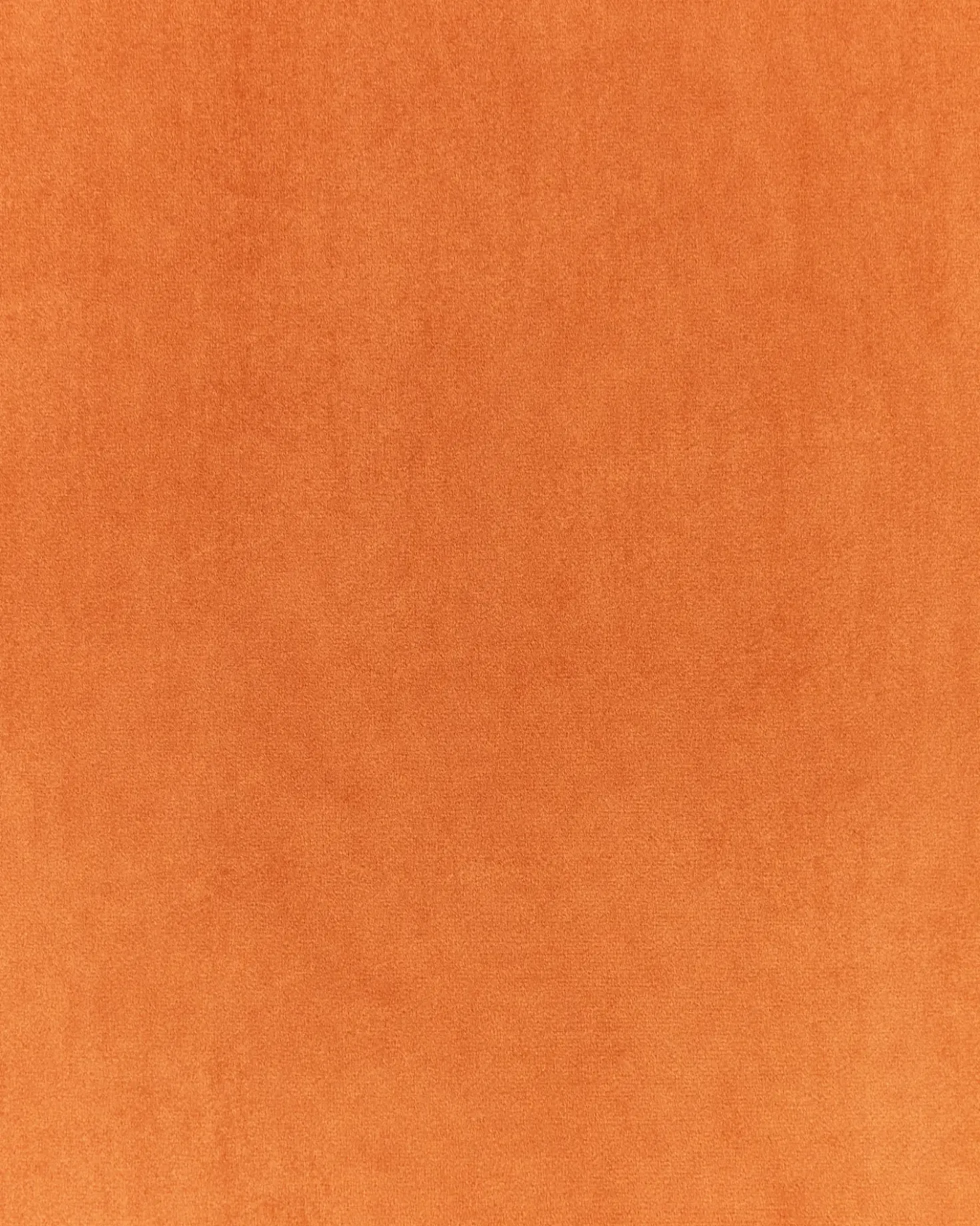 Poltrona DELARY Velluto Arancione