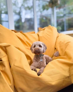 Online Beliani Poltrona sacco 600 L FUZZY 180 cm 230 cm Giallo