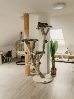 Sale Beliani ASPIO Rattan sintetico (PE) Naturale Beige Marrone Nero