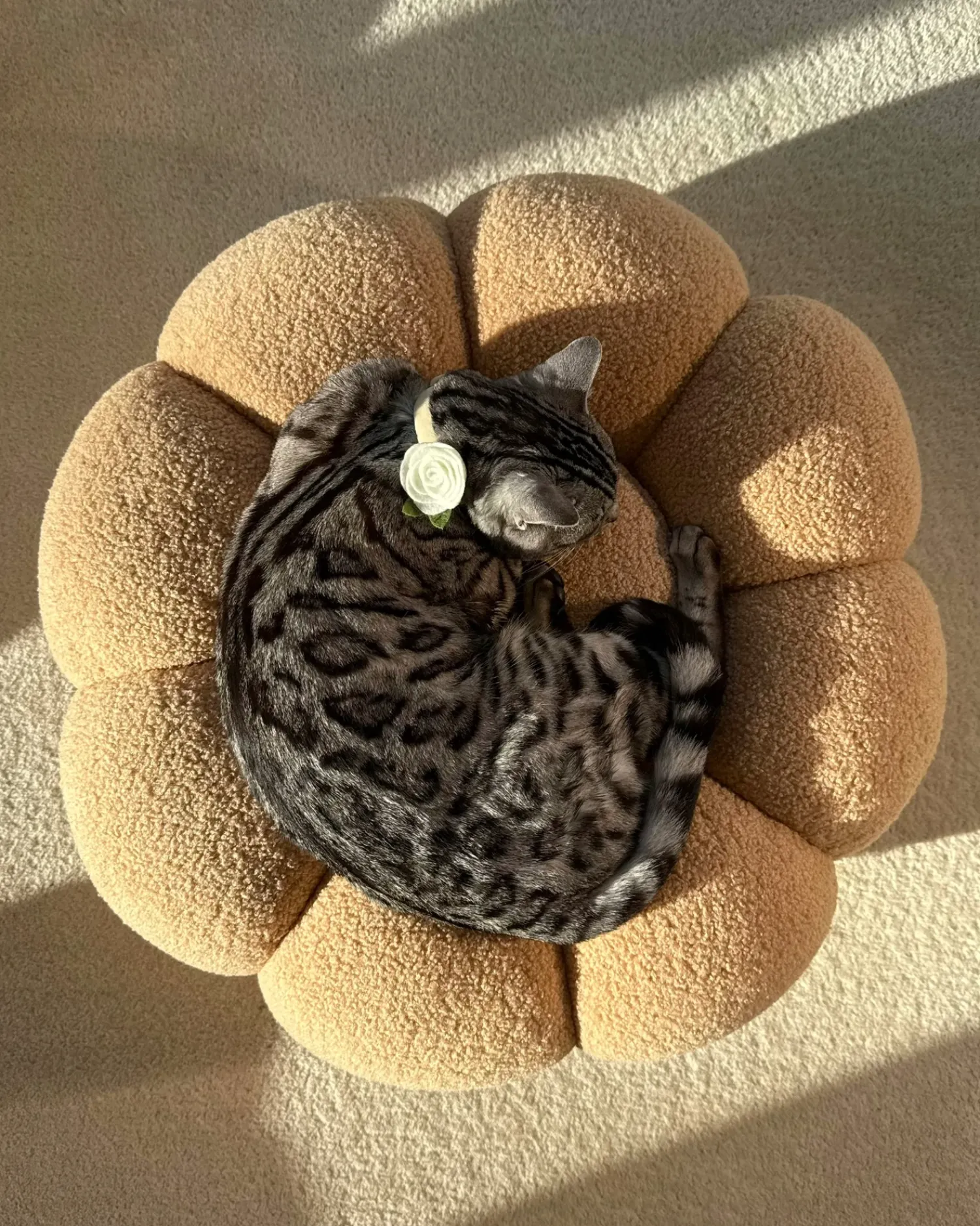 Best Beliani Pouf BEAUFORT Bouclé chiaro Marrone