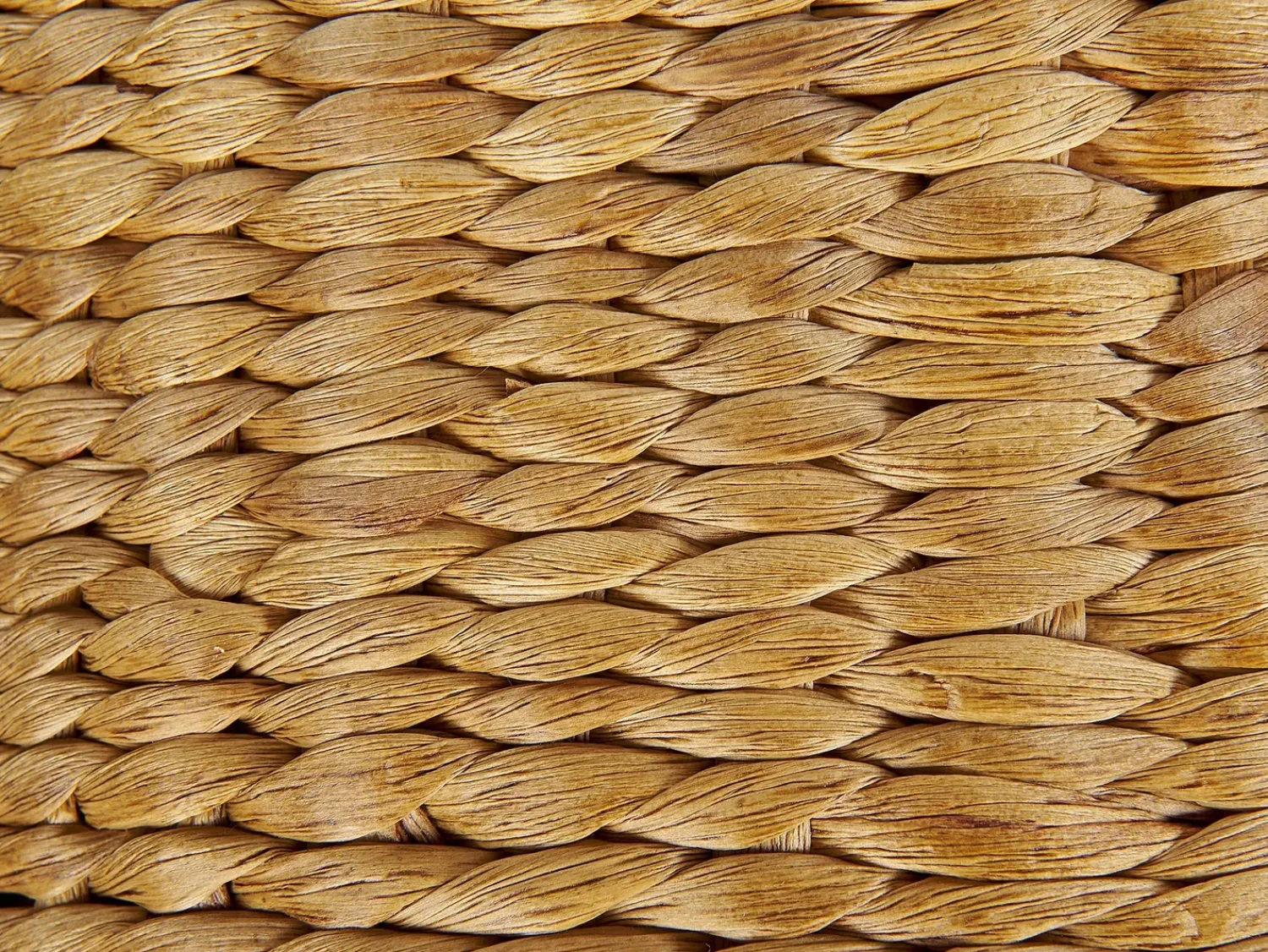 Outlet Beliani Pouf BICHIR Giacinto d'acqua Beige Naturale