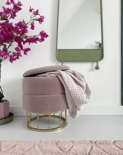 Outlet Beliani Pouf contenitore ELGIN Velluto Rosa Rosa Oro
