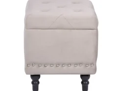 Discount Beliani Pouf contenitore LORETTO Velluto Beige