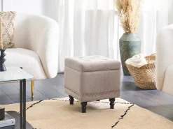 Discount Beliani Pouf contenitore LORETTO Velluto Beige