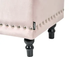 Beliani Pouf contenitore LORETTO Velluto Rosa pastello Nero Rosa
