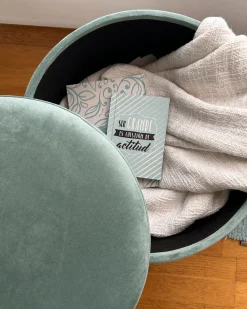New Beliani Pouf contenitore SILAS Velluto menta Verde