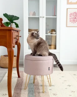 Best Beliani Pouf contenitore SILAS Velluto pastello Rosa