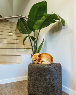 Hot Beliani Pouf SCOTIA Ciniglia scuro Grigio