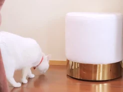 Discount Beliani Pouf SOPHIA Velluto Bianco Bianco Oro