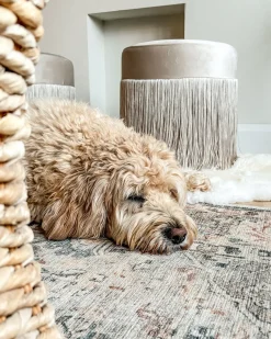 Best Beliani Pouf VIRGINIA Velluto Tortora Beige