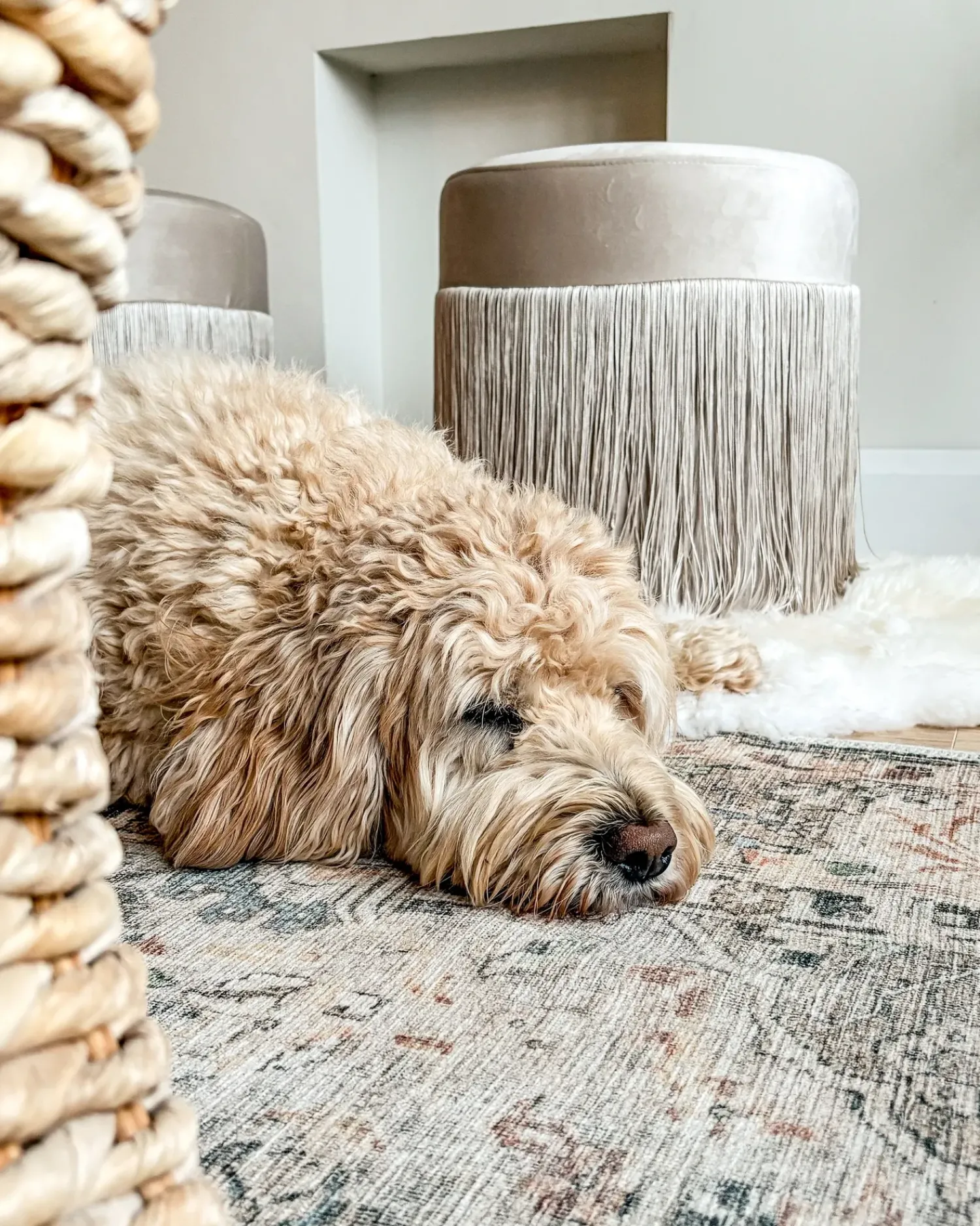 Best Beliani Pouf VIRGINIA Velluto Tortora Beige
