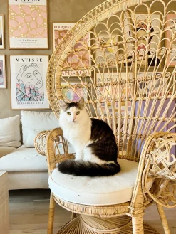 New Beliani Sedia Peacock EMMANUELLE Rattan Naturale Beige Marrone