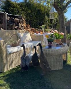 Sale Beliani Set da giardino con tavolo 5 posti LIVADEIA Rattan Naturale Bianco Naturale