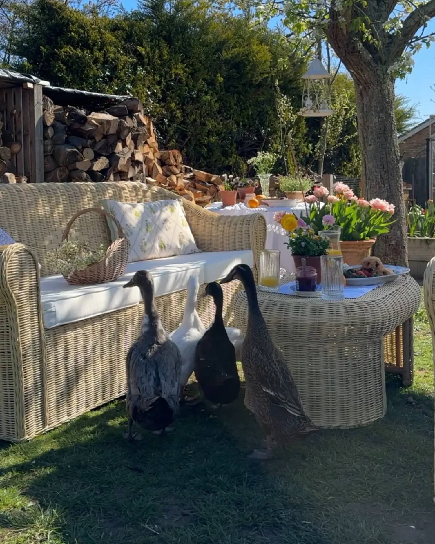 Sale Beliani Set da giardino con tavolo 5 posti LIVADEIA Rattan Naturale Bianco Naturale