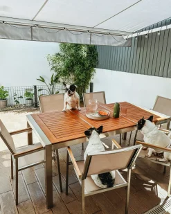 Clearance Beliani Set da pranzo da giardino 6 posti GROSSETO Legno d'eucalipto Marrone/Beige Beige Argento Marrone