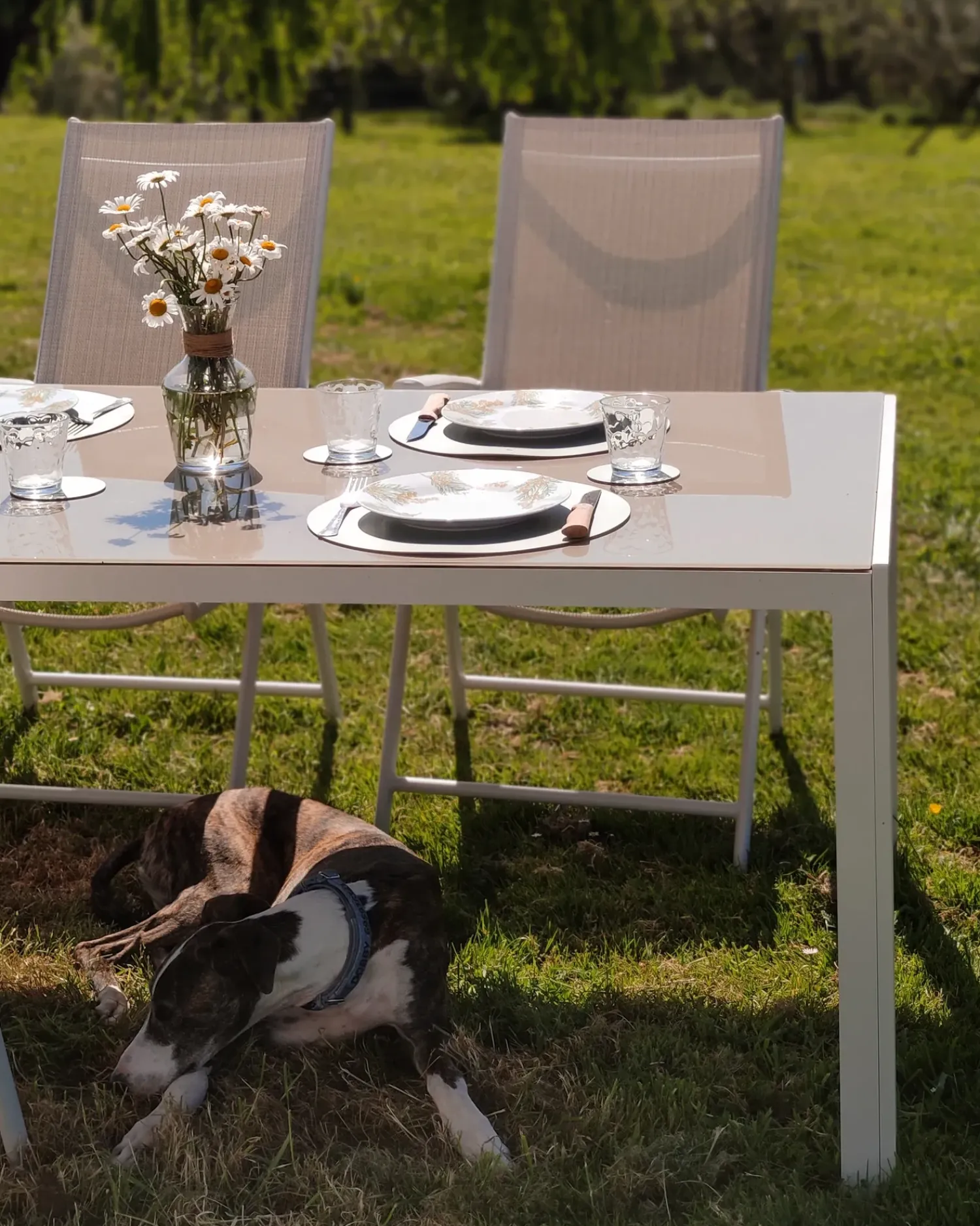 Online Beliani Set da pranzo da giardino 6 posti CATANIA Metallo Beige Bianco Beige