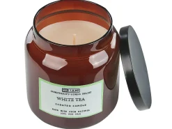 Best Beliani Set di 2 Candele Profumate ABSOLUTE ALCHEMY Cera di Soia Note fresche Marrone