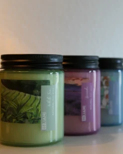Best Beliani Set di 3 Candele Profumate FRUITY BLOOM Cera di Soia Note fresche Note floreali Viola Blu Verde
