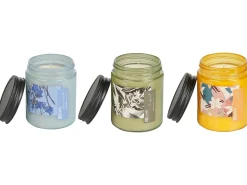 Beliani Set di 3 Candele Profumate FRUITY BLOOM Cera di Soia Note fresche Note floreali Giallo Blu Verde