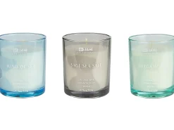 Outlet Beliani Set di 3 Candele Profumate SHEER JOY Cera di Soia Note fresche Blu Verde Grigio