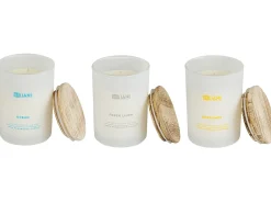 Outlet Beliani Set di 3 Candele Profumate SIMPLICITY Cera di Soia Note fruttate Note fresche Bianco Marrone