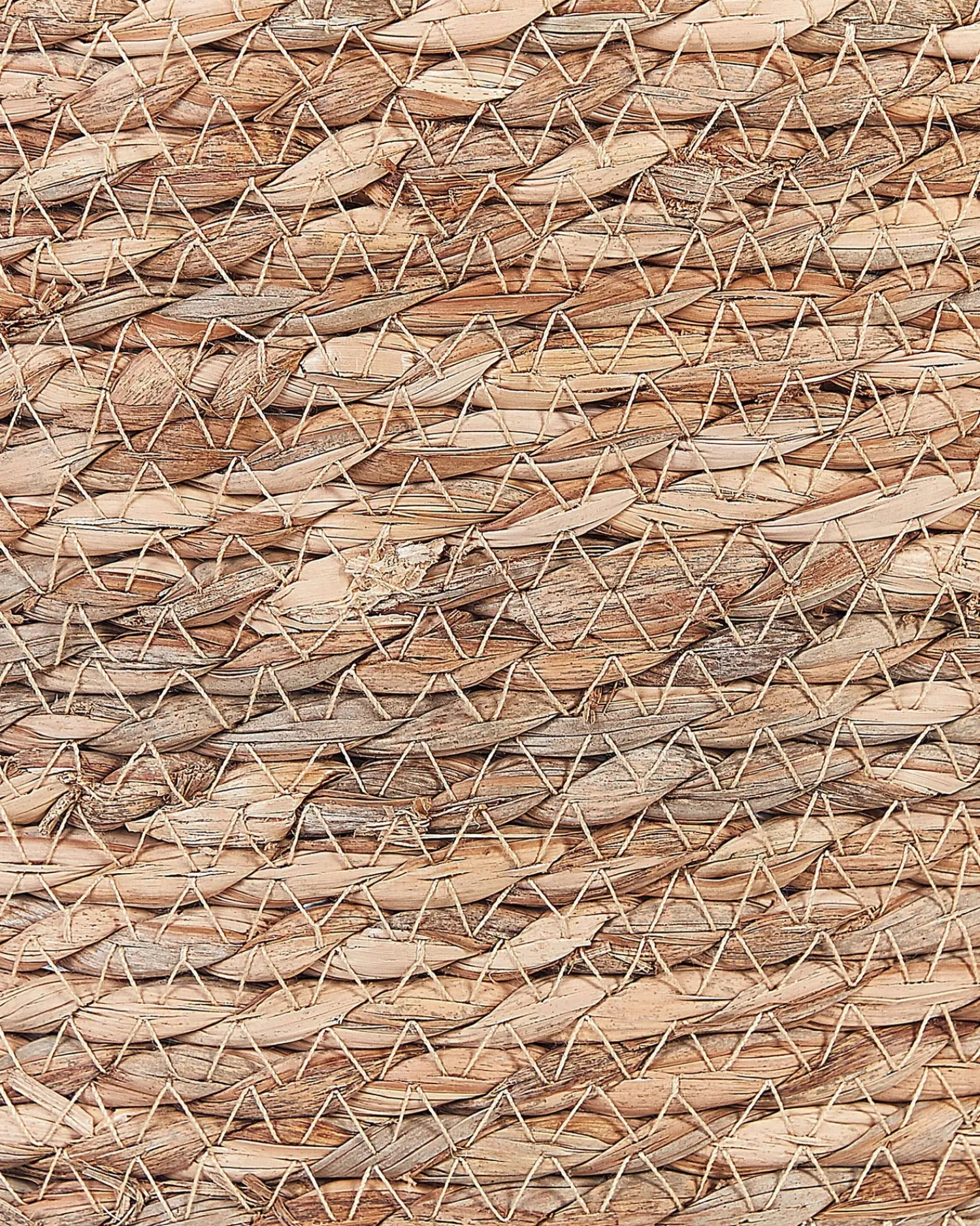 Beliani Set di 3 cestini SAYJAR Alghe marine Naturale Beige Marrone Naturale