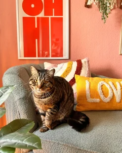 New Beliani Set di 2 cuscini LOVE Cotone 30 x 50 cm Giallo