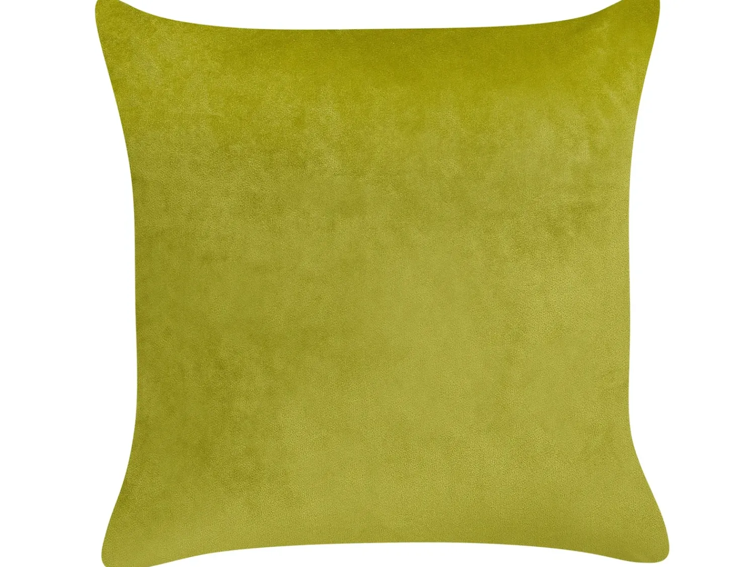 Discount Beliani Set di 2 cuscini YUZURI Velluto 45 x 45 cm Verde chiaro Trama animale Oro Verde