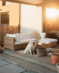 Hot Beliani Set di divani angolari da giardino 4 posti SANO Modulare Rattan sintetico (PE) Naturale Bianco Naturale