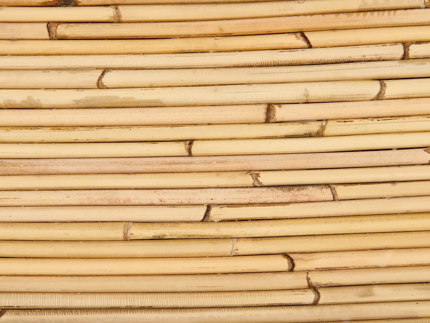 Online Beliani Set di divani da giardino 4 posti MAIORI Rattan Naturale Beige Naturale