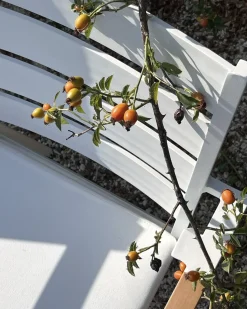 Best Beliani Set di 6 sedie da giardino TAVIANO Metallo Bianco Bianco Marrone